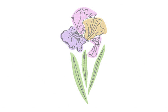 A Designer's Review: The Pastel Iris Flower Embroidery