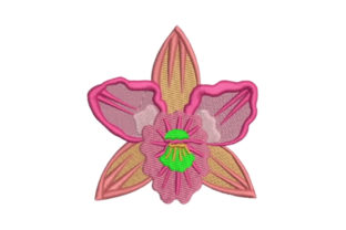 Reviewing the Orchid Embroidery Design for Boutique Sweatshirts
