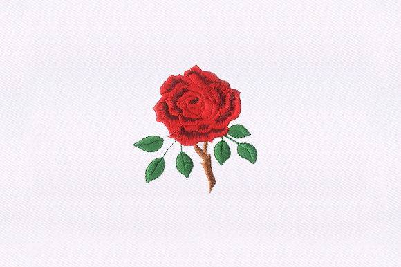 Thorny Red Rose: A Designer’s Seasonal Product Review